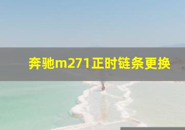 奔驰m271正时链条更换