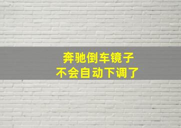 奔驰倒车镜子不会自动下调了