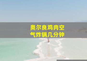 奥尔良鸡肉空气炸锅几分钟