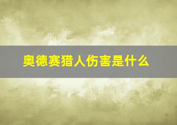 奥德赛猎人伤害是什么