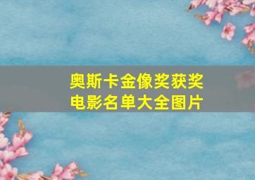 奥斯卡金像奖获奖电影名单大全图片