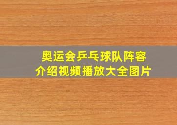 奥运会乒乓球队阵容介绍视频播放大全图片