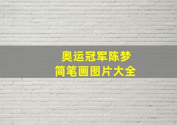 奥运冠军陈梦简笔画图片大全