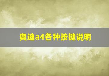 奥迪a4各种按键说明