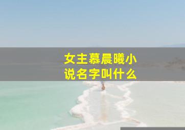 女主慕晨曦小说名字叫什么