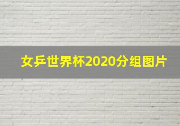 女乒世界杯2020分组图片