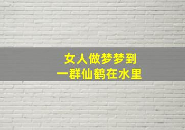 女人做梦梦到一群仙鹤在水里