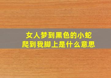 女人梦到黑色的小蛇爬到我脚上是什么意思