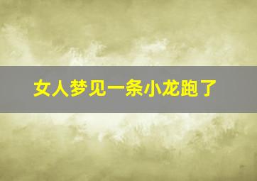 女人梦见一条小龙跑了