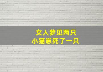 女人梦见两只小猫崽死了一只