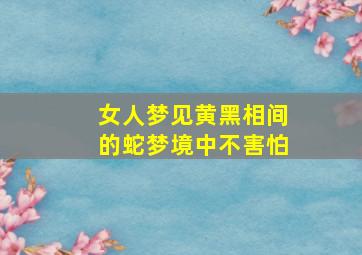 女人梦见黄黑相间的蛇梦境中不害怕