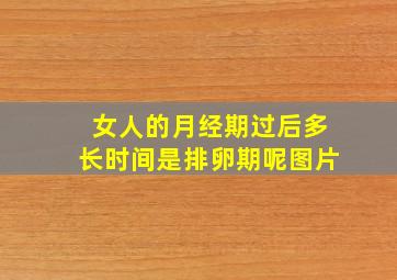 女人的月经期过后多长时间是排卵期呢图片