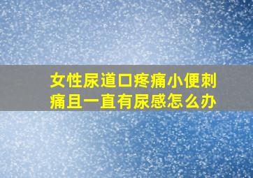 女性尿道口疼痛小便刺痛且一直有尿感怎么办