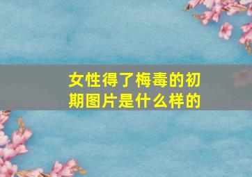 女性得了梅毒的初期图片是什么样的