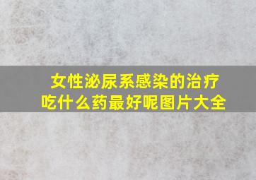 女性泌尿系感染的治疗吃什么药最好呢图片大全