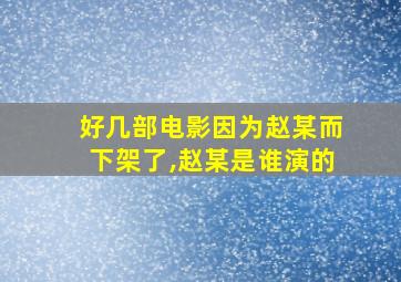 好几部电影因为赵某而下架了,赵某是谁演的