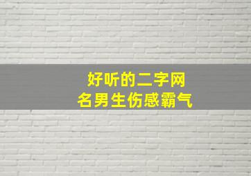 好听的二字网名男生伤感霸气