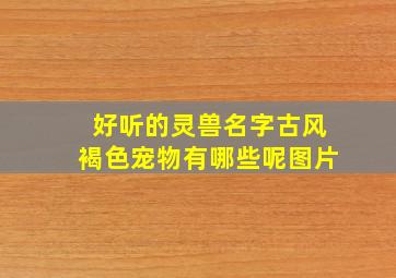 好听的灵兽名字古风褐色宠物有哪些呢图片