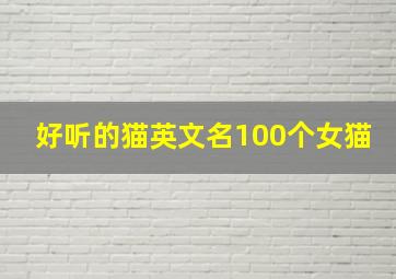 好听的猫英文名100个女猫