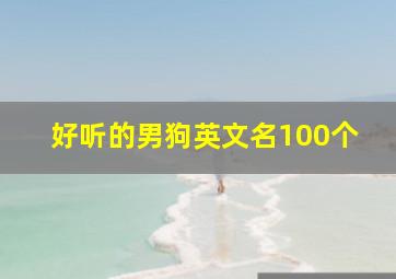 好听的男狗英文名100个