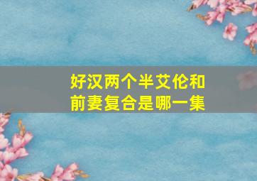 好汉两个半艾伦和前妻复合是哪一集