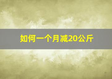 如何一个月减20公斤