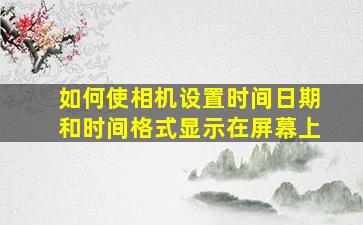 如何使相机设置时间日期和时间格式显示在屏幕上