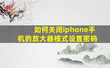 如何关闭iphone手机的放大器模式设置密码