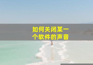 如何关闭某一个软件的声音