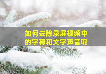 如何去除录屏视频中的字幕和文字声音呢