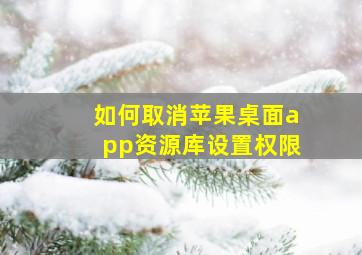 如何取消苹果桌面app资源库设置权限