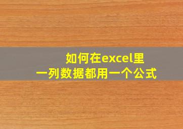 如何在excel里一列数据都用一个公式