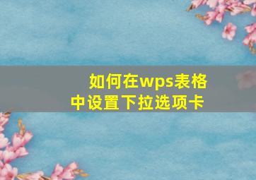 如何在wps表格中设置下拉选项卡