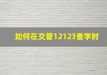 如何在交管12123查学时