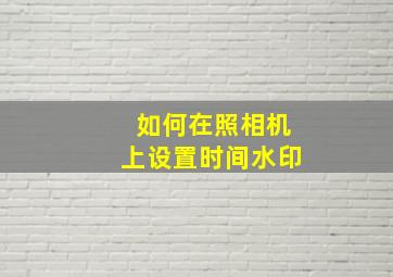 如何在照相机上设置时间水印