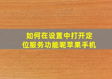 如何在设置中打开定位服务功能呢苹果手机