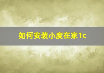 如何安装小度在家1c