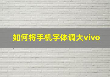 如何将手机字体调大vivo