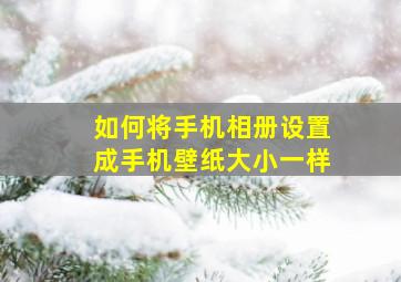 如何将手机相册设置成手机壁纸大小一样