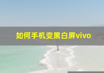 如何手机变黑白屏vivo