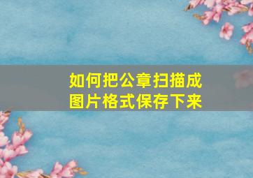 如何把公章扫描成图片格式保存下来