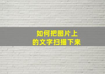 如何把图片上的文字扫描下来