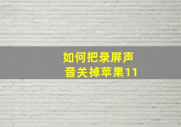 如何把录屏声音关掉苹果11