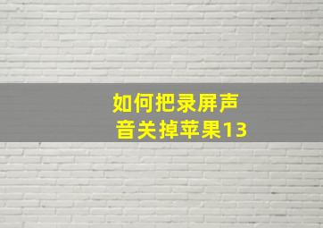 如何把录屏声音关掉苹果13