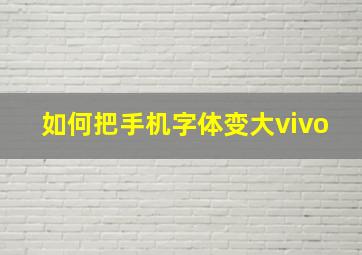 如何把手机字体变大vivo