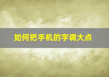 如何把手机的字调大点