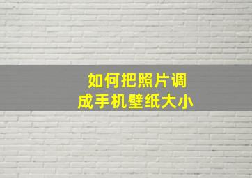 如何把照片调成手机壁纸大小