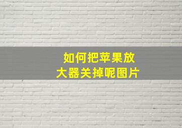 如何把苹果放大器关掉呢图片