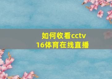 如何收看cctv16体育在线直播