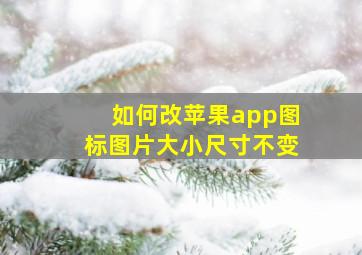 如何改苹果app图标图片大小尺寸不变